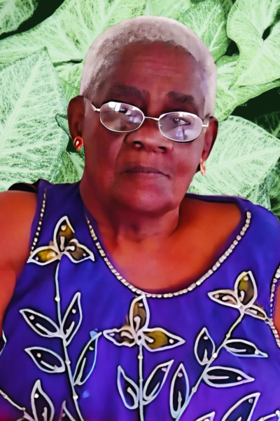 Jemima L Perkins